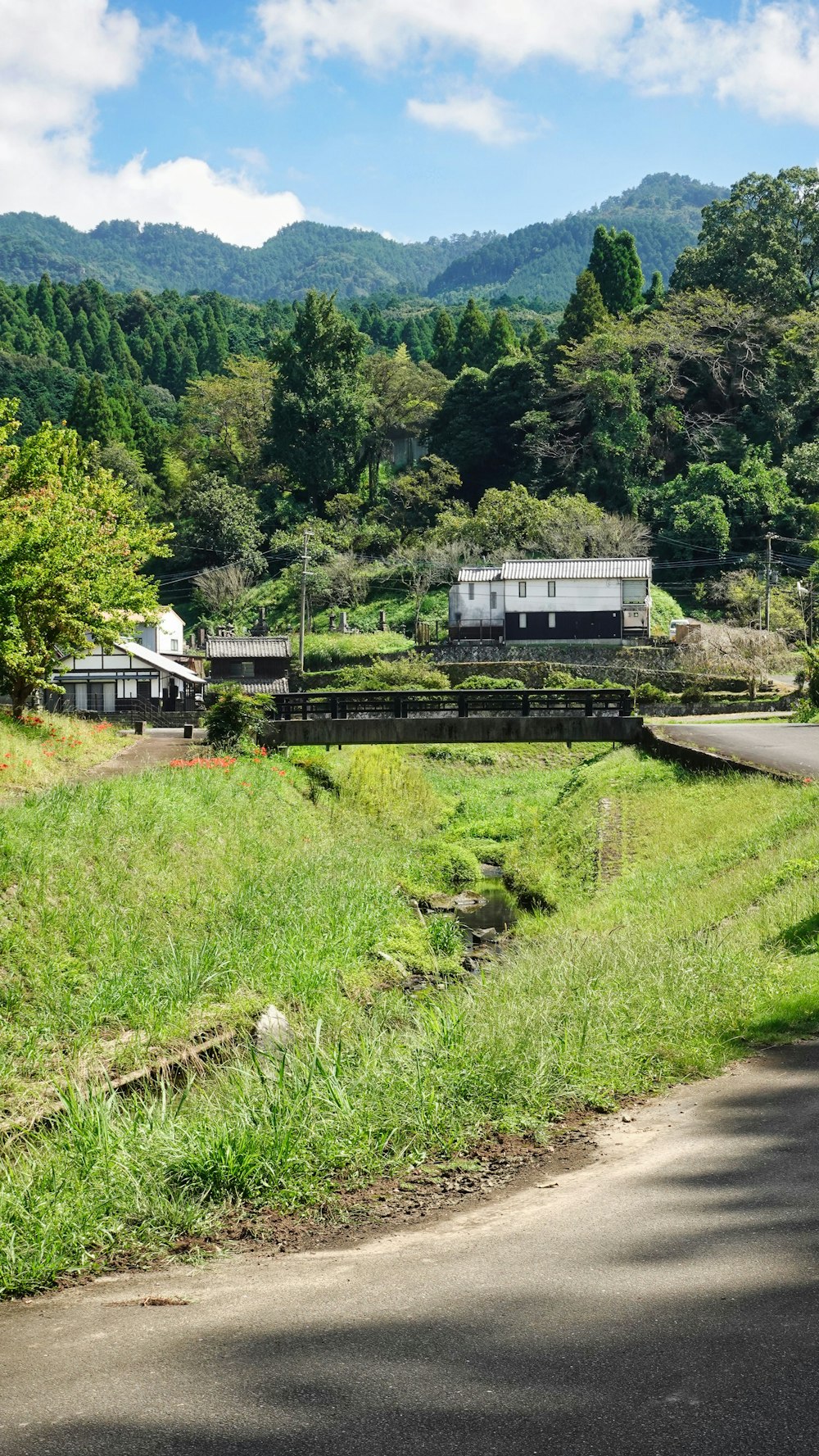 家と道路のある田園地帯