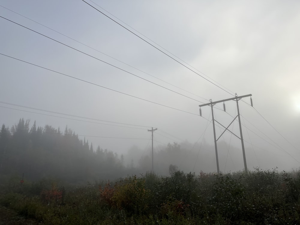 a foggy field with power lines and trees