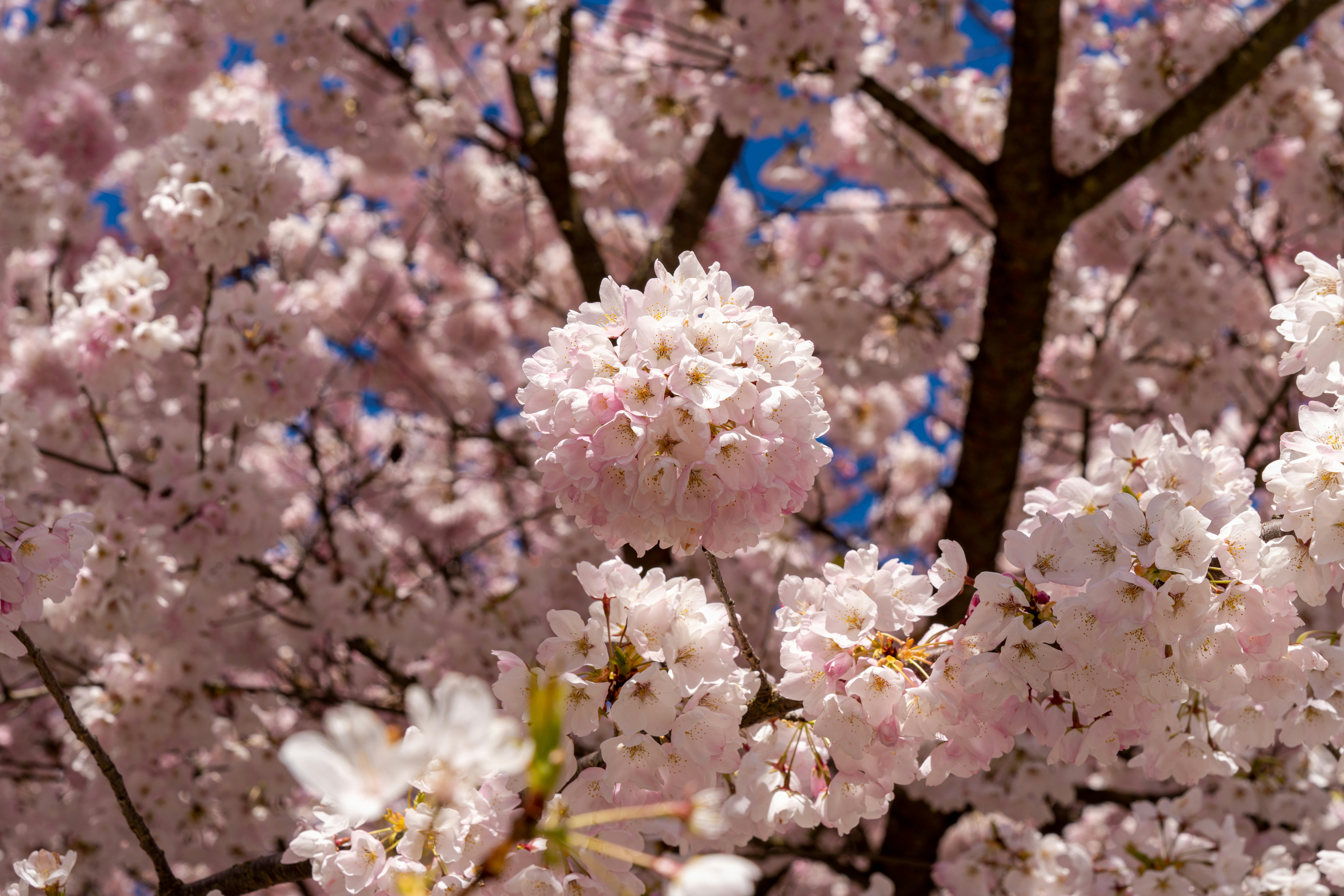 Photo by _remoteviewer