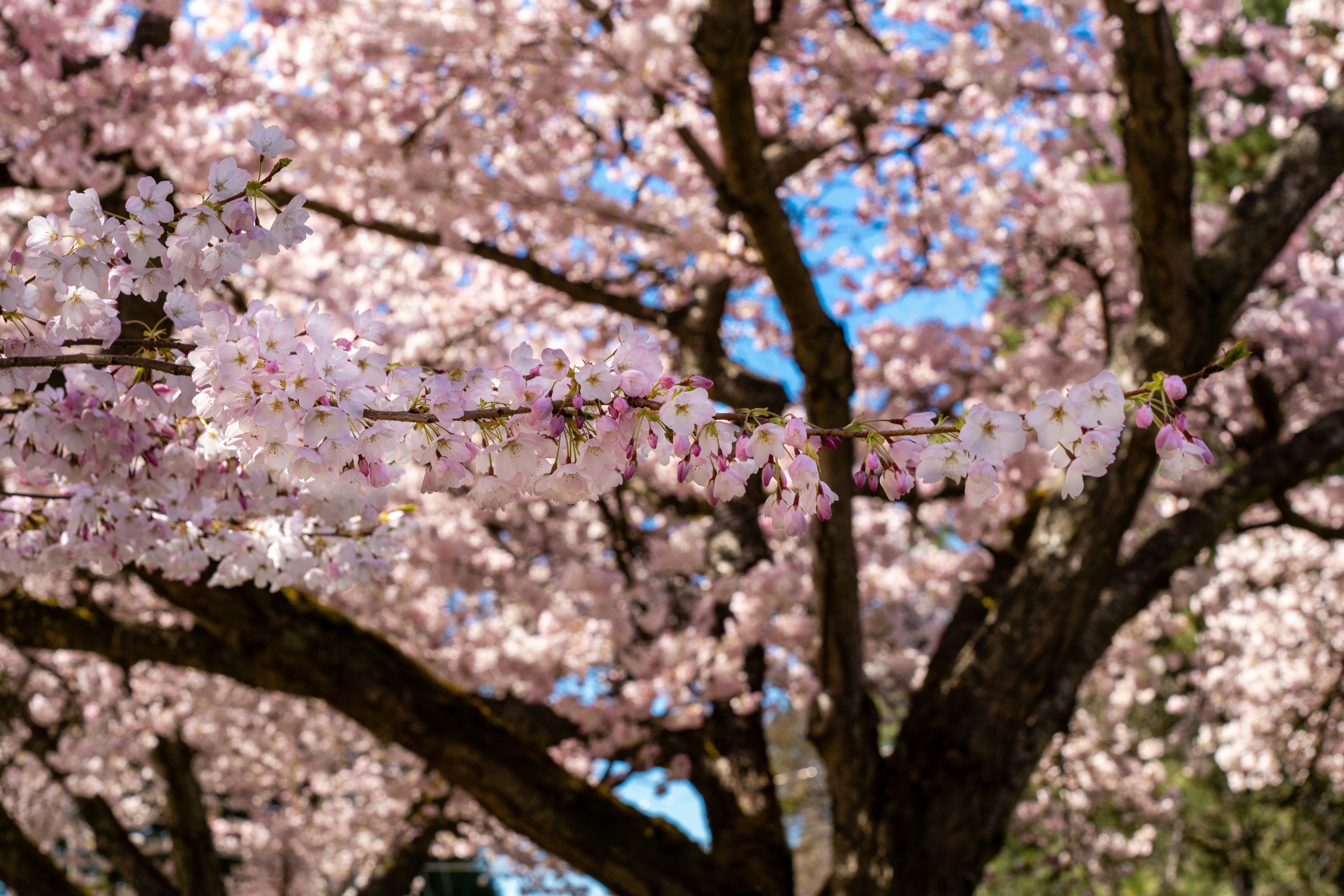 Photo by _remoteviewer