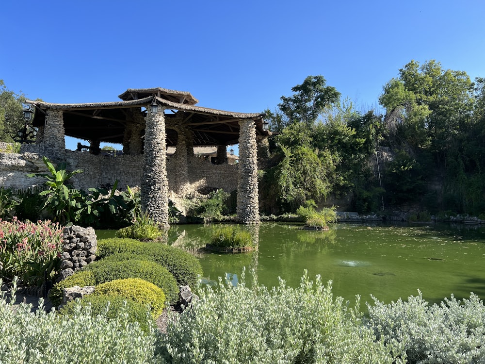 a small pond surrounded by trees and bushes