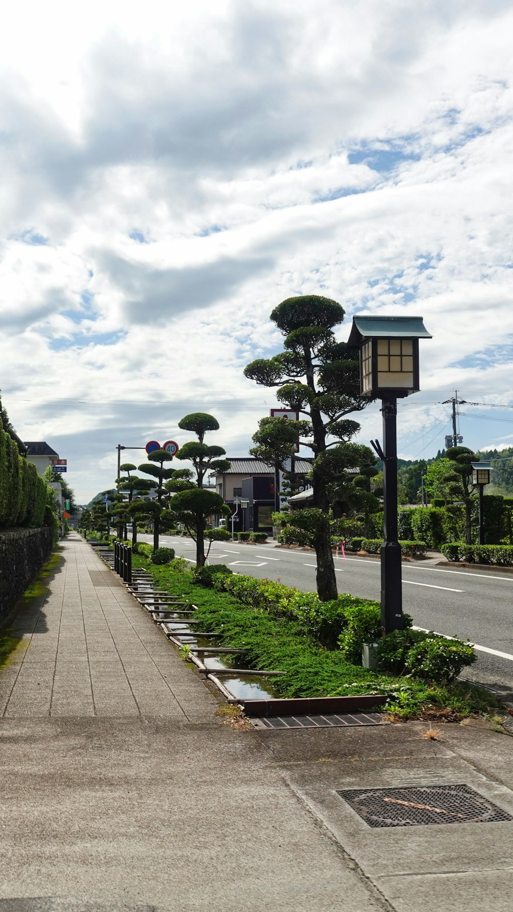 a street lined with trees and a lamp post