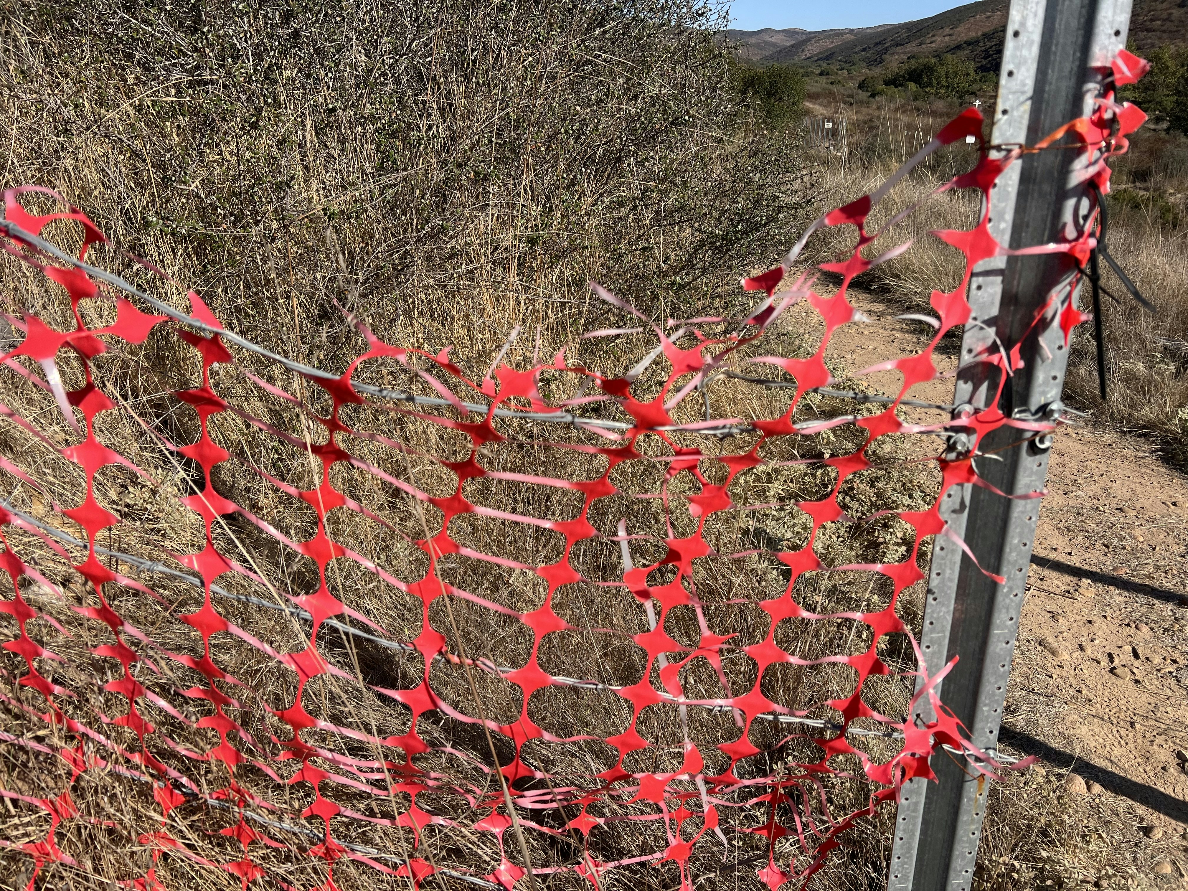 a bunch of red paper hearts hanging from a fence