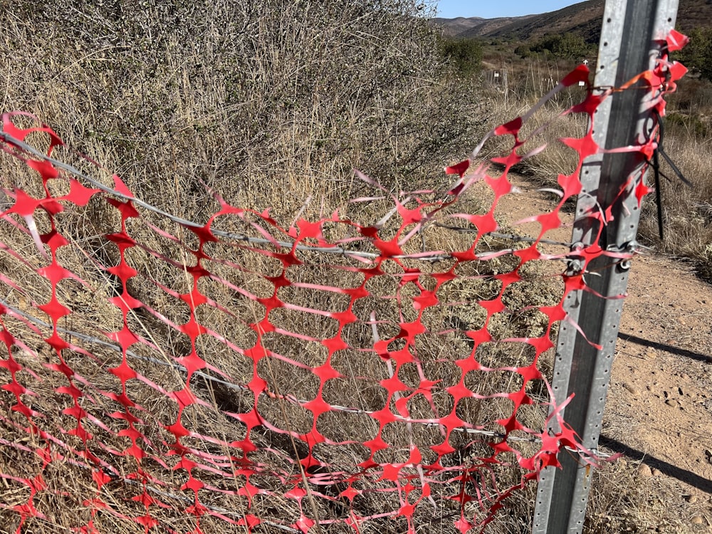a bunch of red paper hearts hanging from a fence