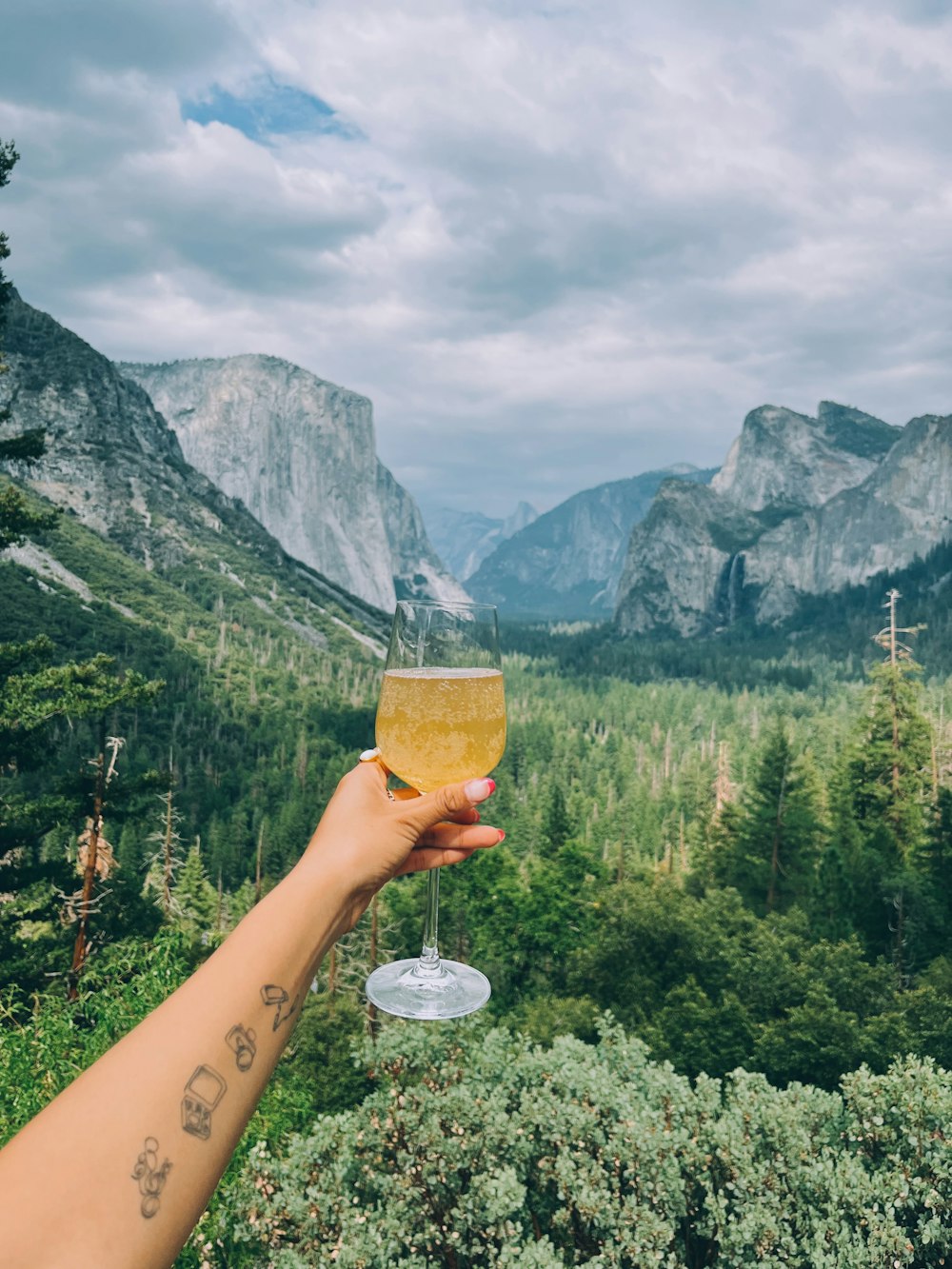 a hand holding a wine glass in front of mountains