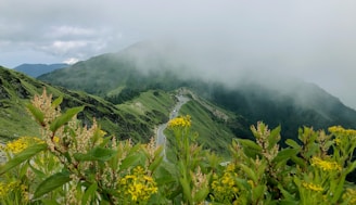 A winding dirt road cutting through green hills dotted with wildflowers in Huancavelica.