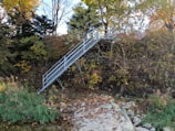 An outdoor metal staircase surrounded by greenery.