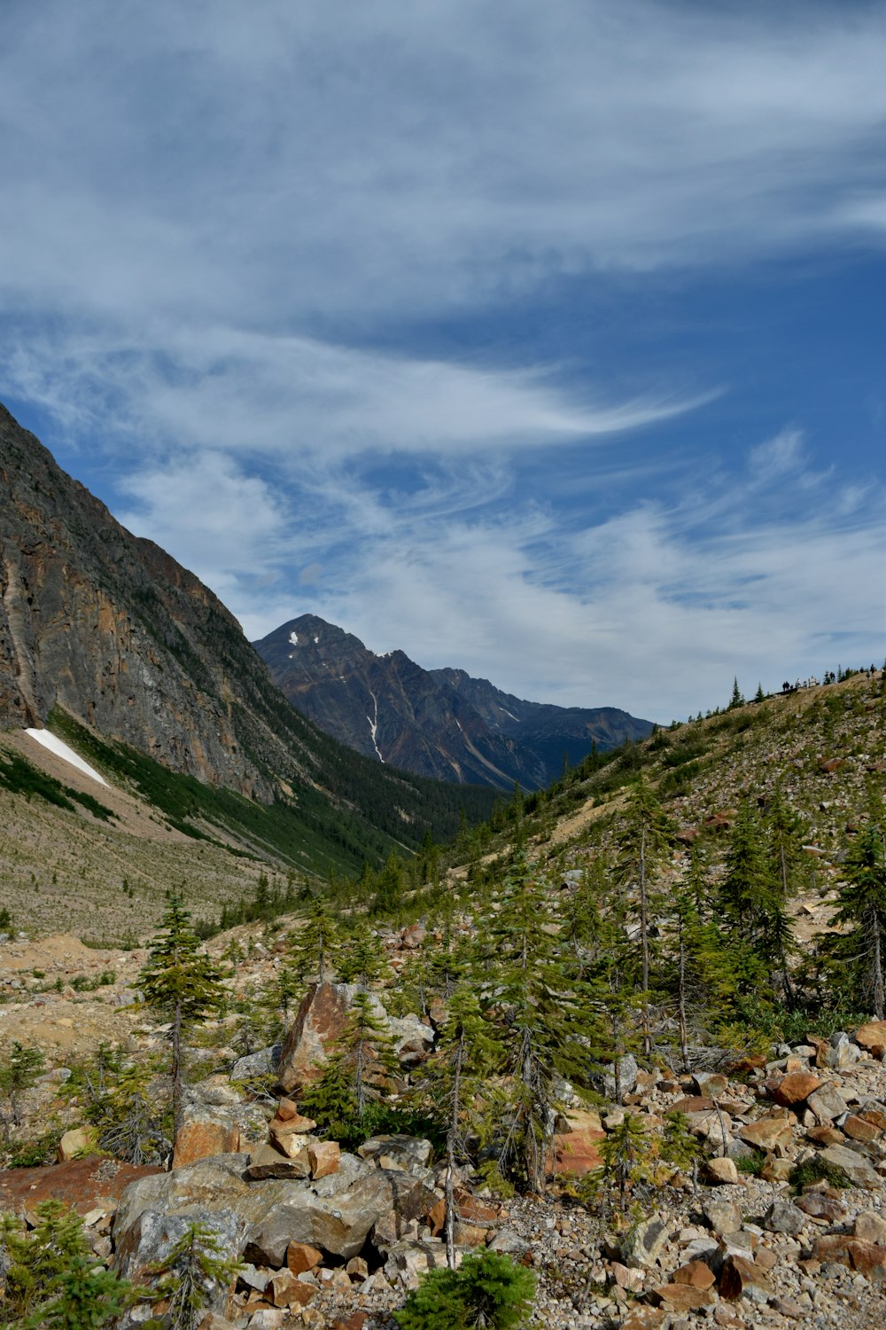 a view of a mountain range with rocks and trees in the foreground