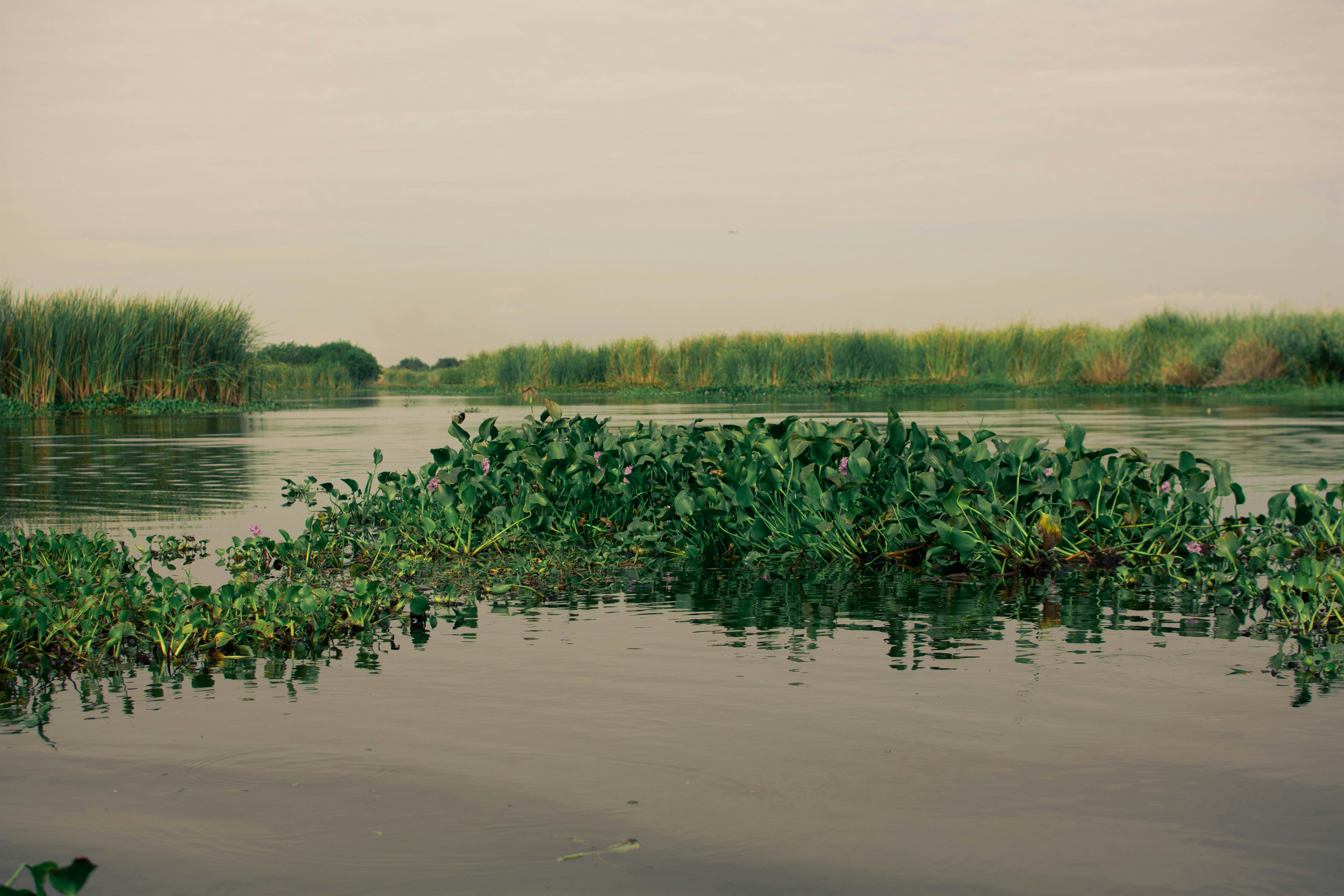 Photo by arlethmaria