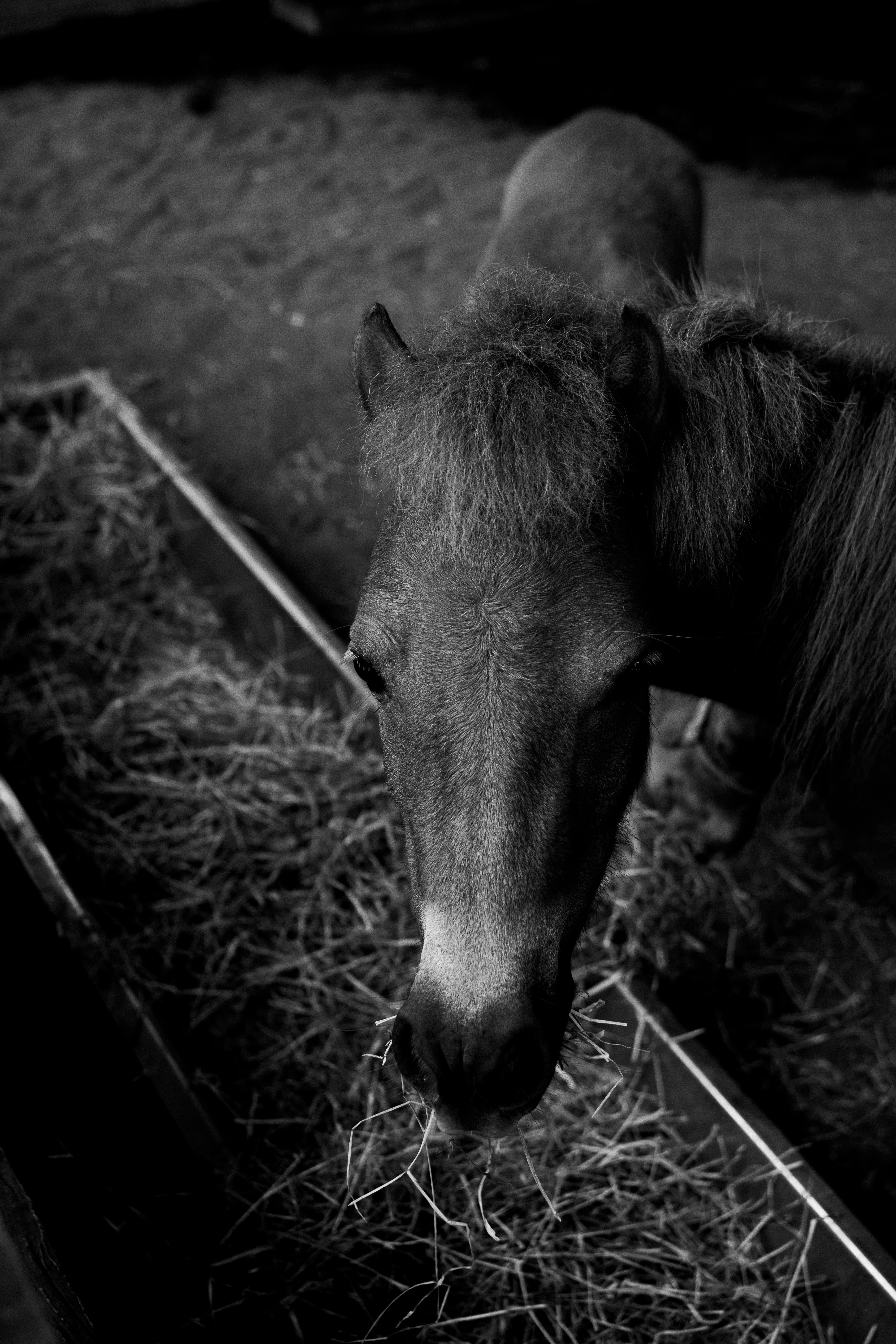 Photo by arlethmaria