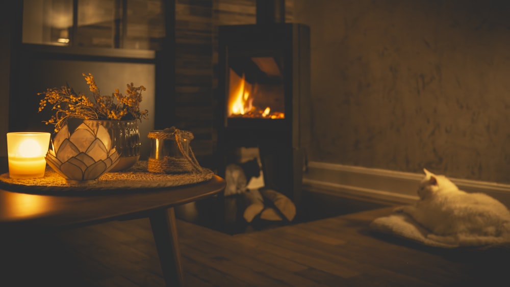 a cat sitting on a table in front of a fireplace