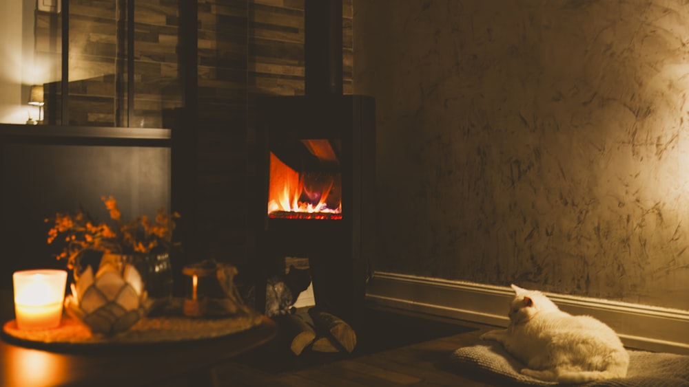 a cat sitting on a pillow in front of a fireplace