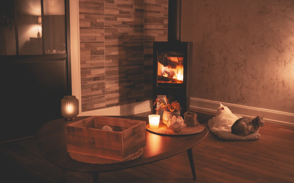 a cat laying on a pillow in front of a fireplace