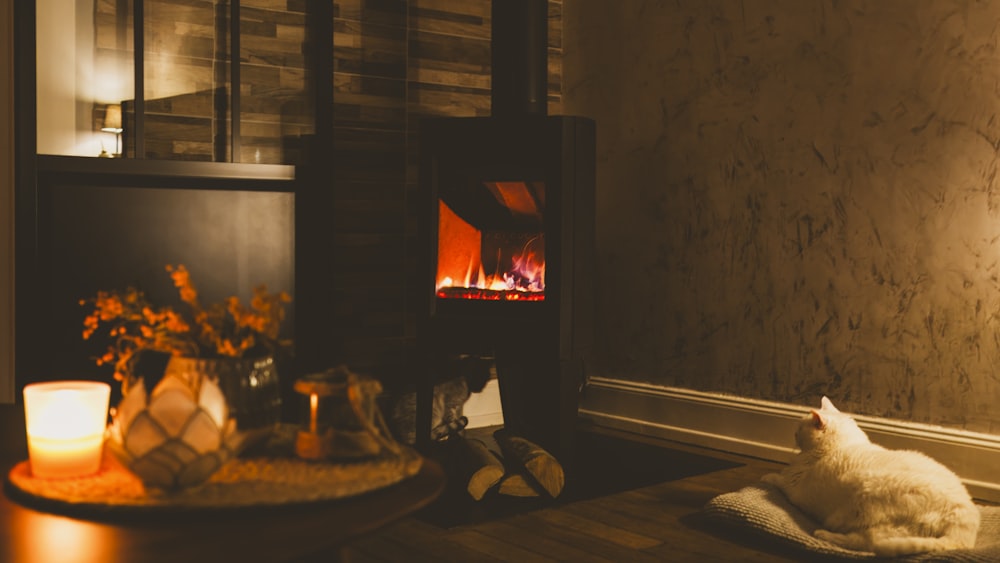 a cat sitting on a table in front of a fireplace