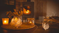 A cozy home interior showing safety and comfort, symbolizing home insurance.