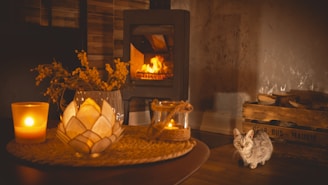 A cozy fireplace flickering softly in a warmly lit living room with plush cushions and a gentle cat curled nearby.