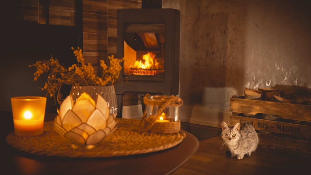 a cat sitting on a table in front of a fireplace