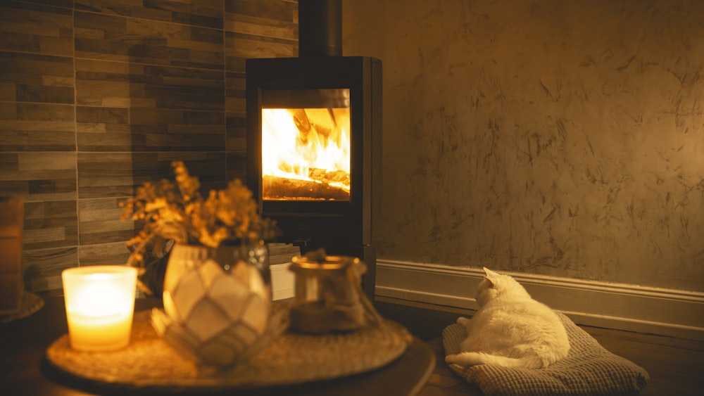 a cat sitting on a table next to a fireplace