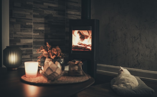 A cozy indoor scene featuring a lit fireplace emitting a warm glow. A white cat is peacefully resting on a cushion near the fireplace. The foreground includes a wooden table with decorative items like candles and a vase. The background is composed of textured walls, contributing to the warm and inviting atmosphere.