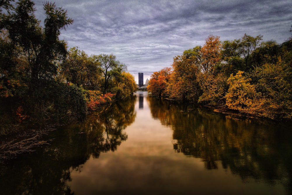 a body of water surrounded by trees under a cloudy sky