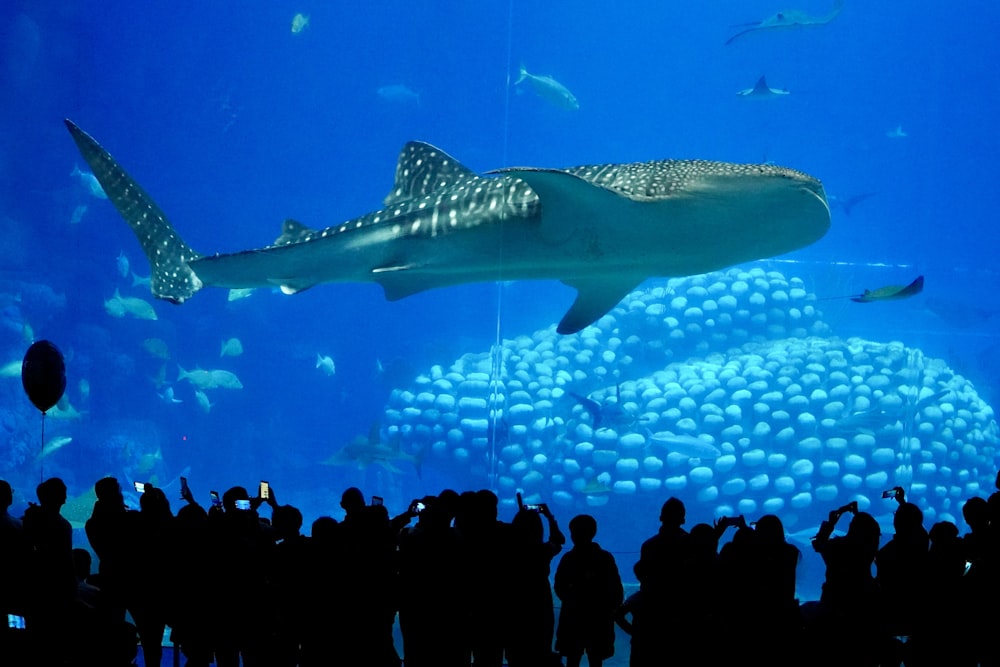 a crowd of people standing in front of a large aquarium