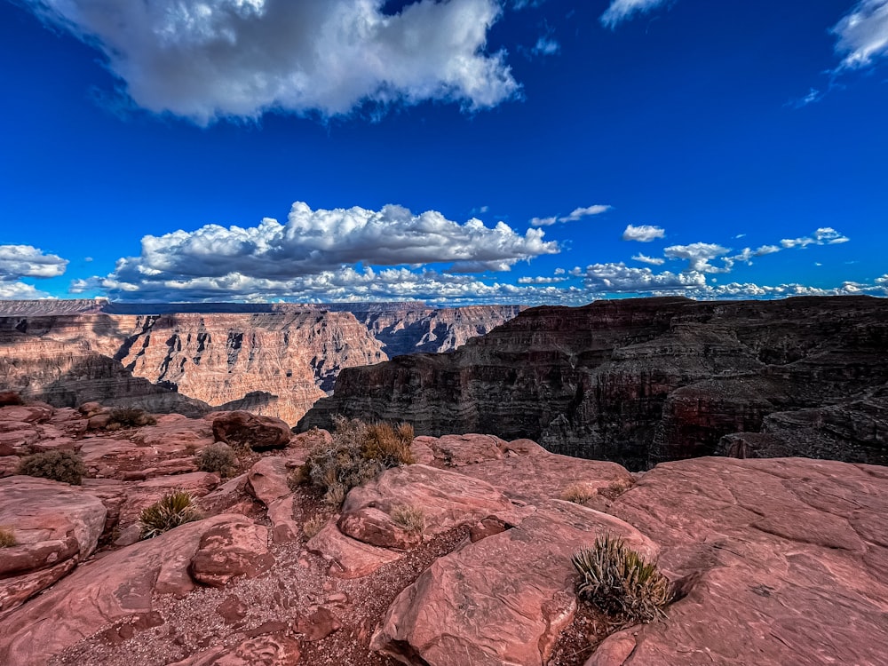 a scenic view of the grand canyon in the desert