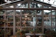 A greenhouse with a large glass facade showcasing various potted plants and gardening supplies. The structure, surrounded by lush greenery, has multiple panes and windows, allowing a clear view of the interior full of vibrant flora and organized shelves.