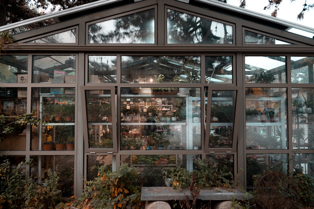 Un edificio con muchas plantas en su interior