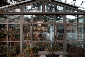 A greenhouse with a large glass facade showcasing various potted plants and gardening supplies. The structure, surrounded by lush greenery, has multiple panes and windows, allowing a clear view of the interior full of vibrant flora and organized shelves.