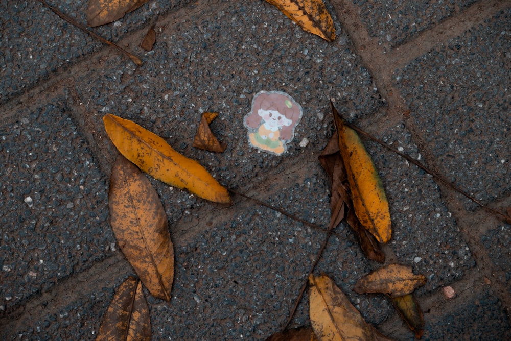 a patch of sticker sitting on the ground next to some leaves