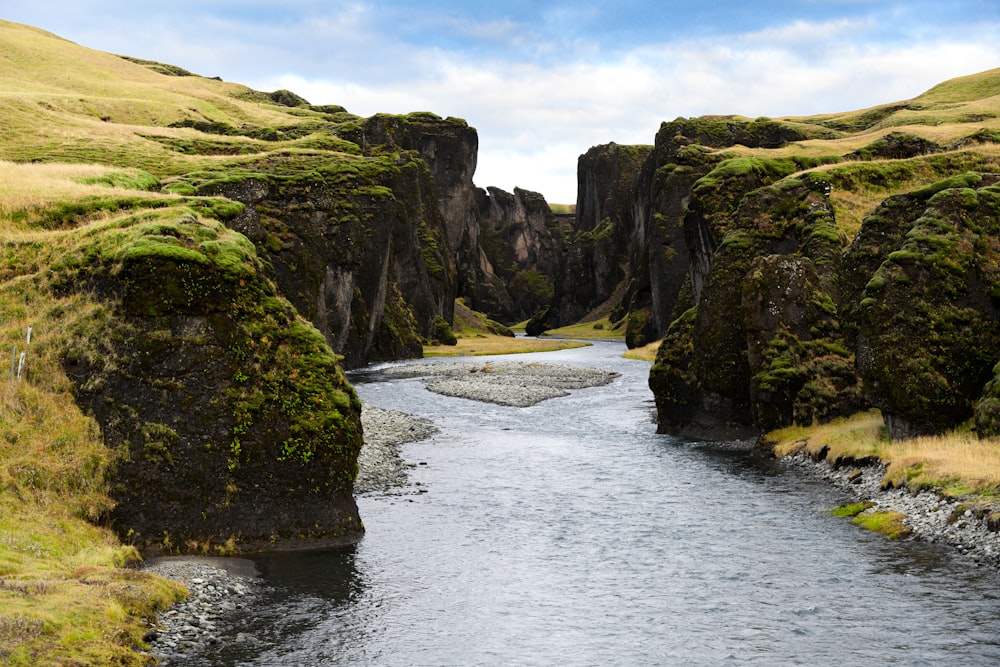 a river running through a lush green valley