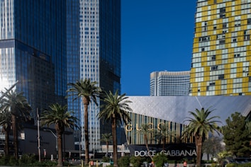 Tall, modern skyscrapers tower above the landscape with a mix of geometric glass and metallic designs. Palm trees line the foreground, adding a touch of greenery to the urban setting. Large, prominent signs for luxury brands Gucci and Dolce & Gabbana contrast with the sleek buildings.