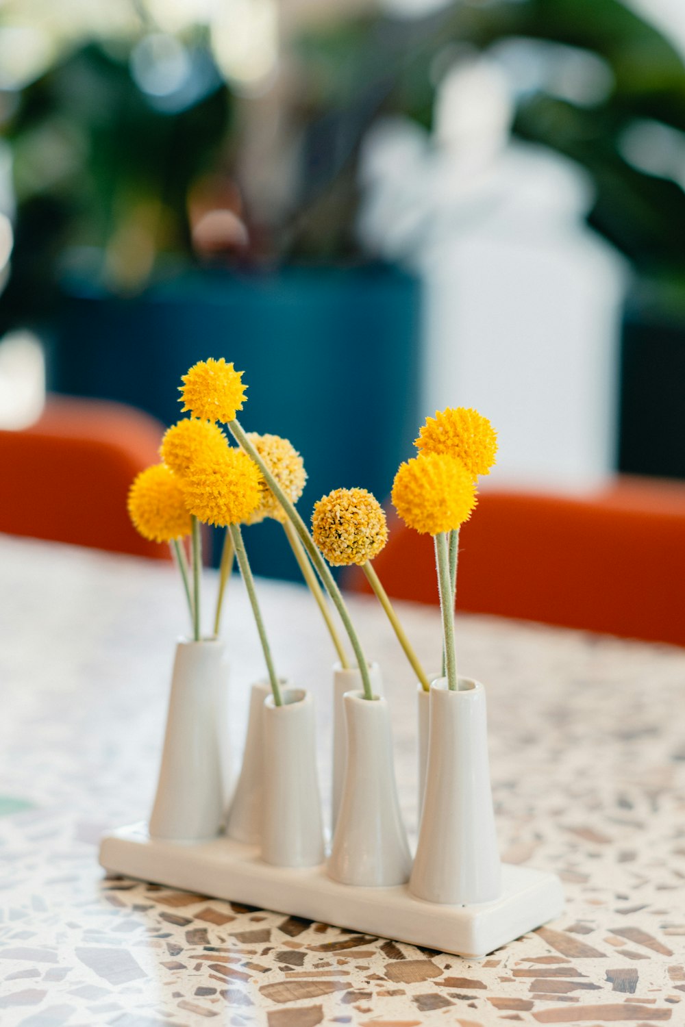 three white vases with yellow flowers in them