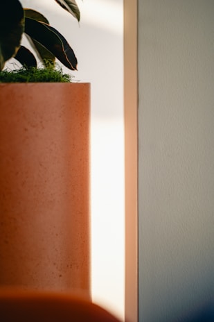 Close-up of textured terracotta wall with green plants in a modern minimalist setting.