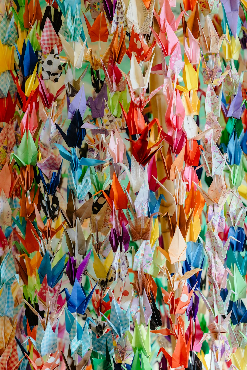 a large amount of colorful origami cranes