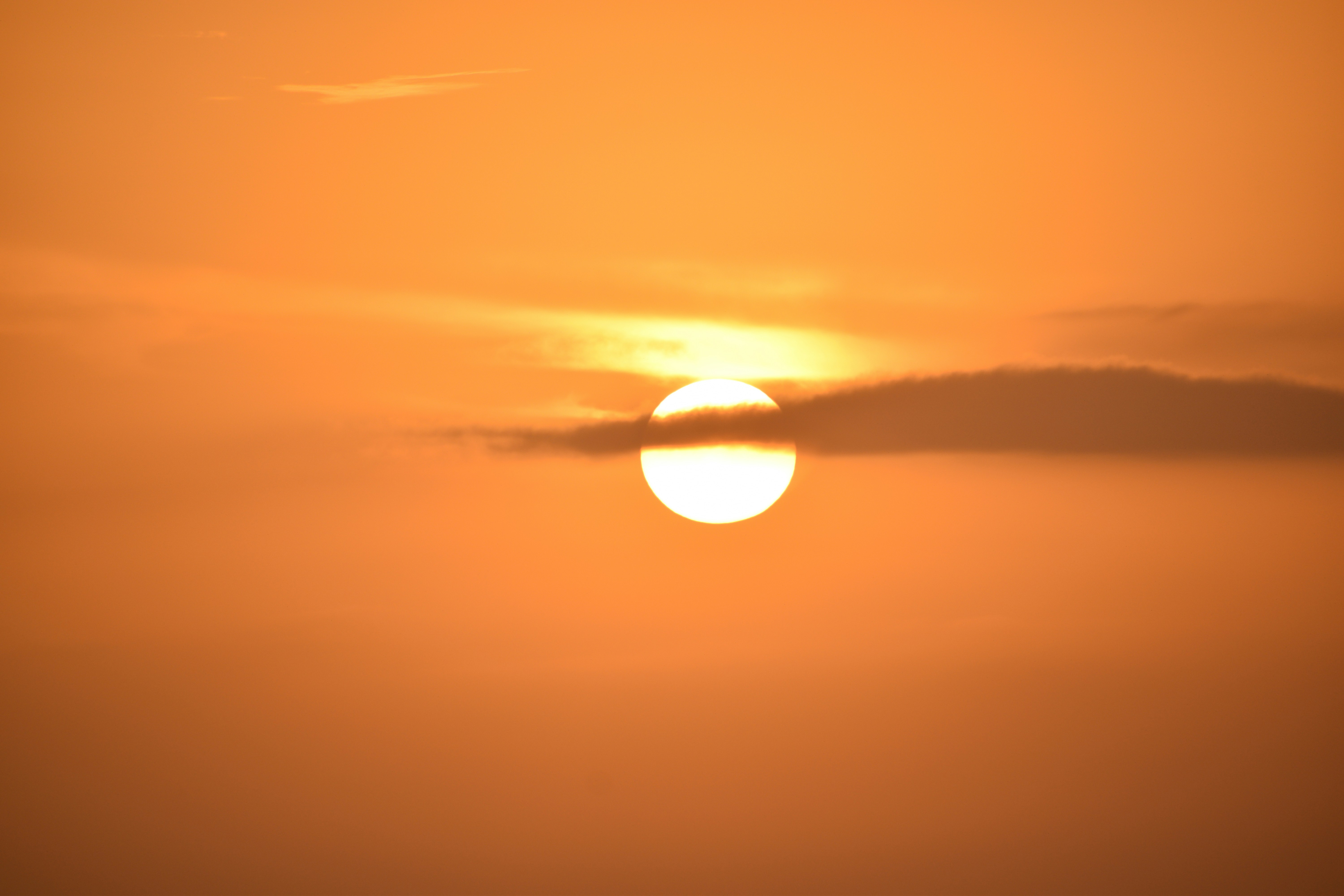 Photo by miruthulaadiyamane