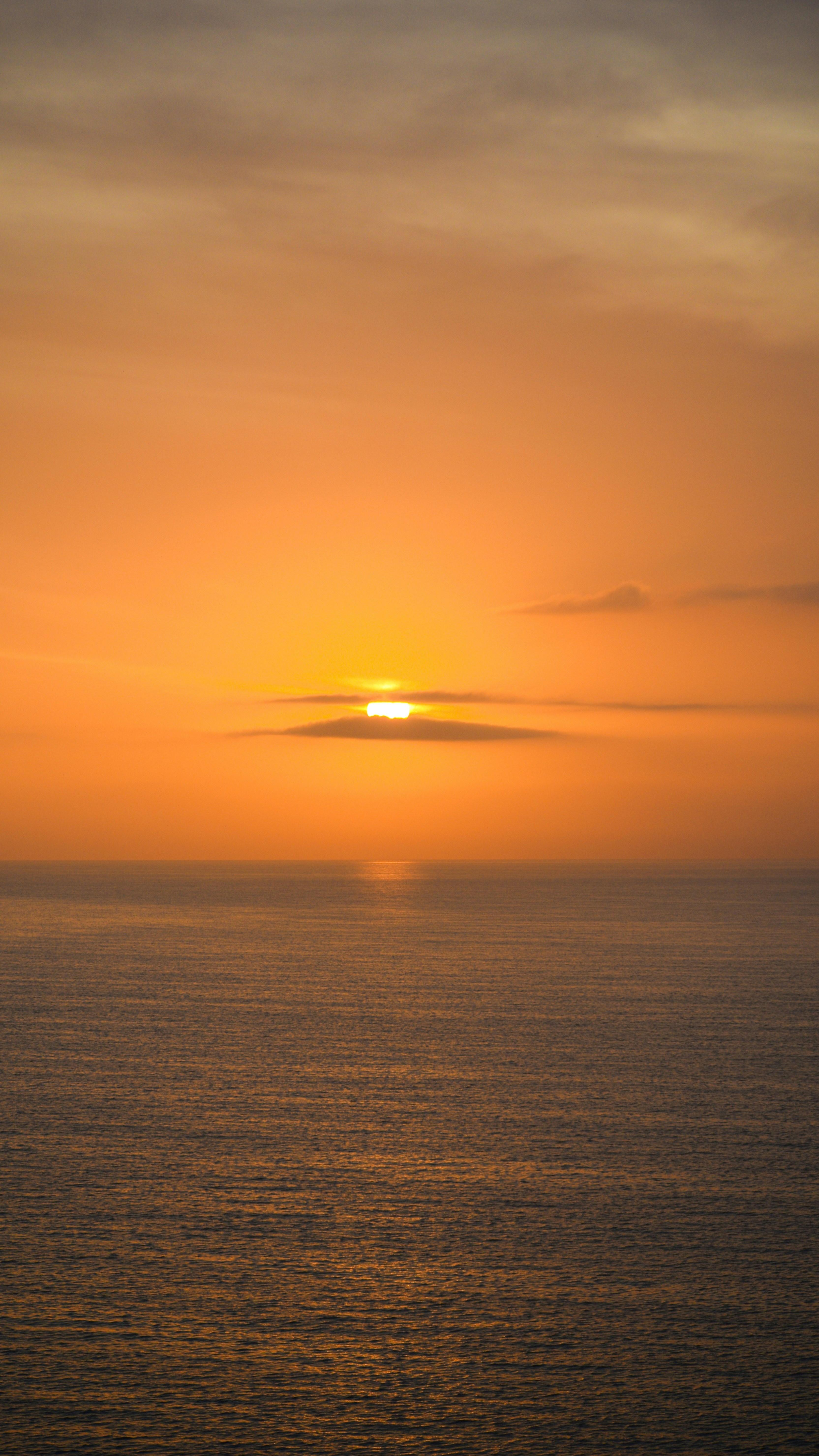 Photo by miruthulaadiyamane