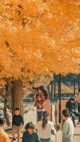 A group of students reading books under a large tree with golden leaves in the schoolyard.