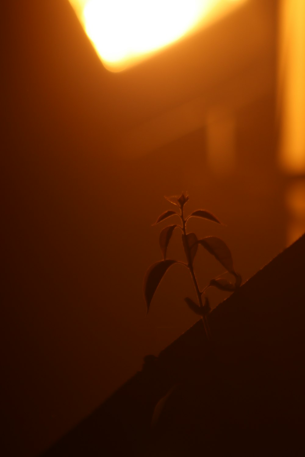 a small plant is growing out of the corner of a window sill