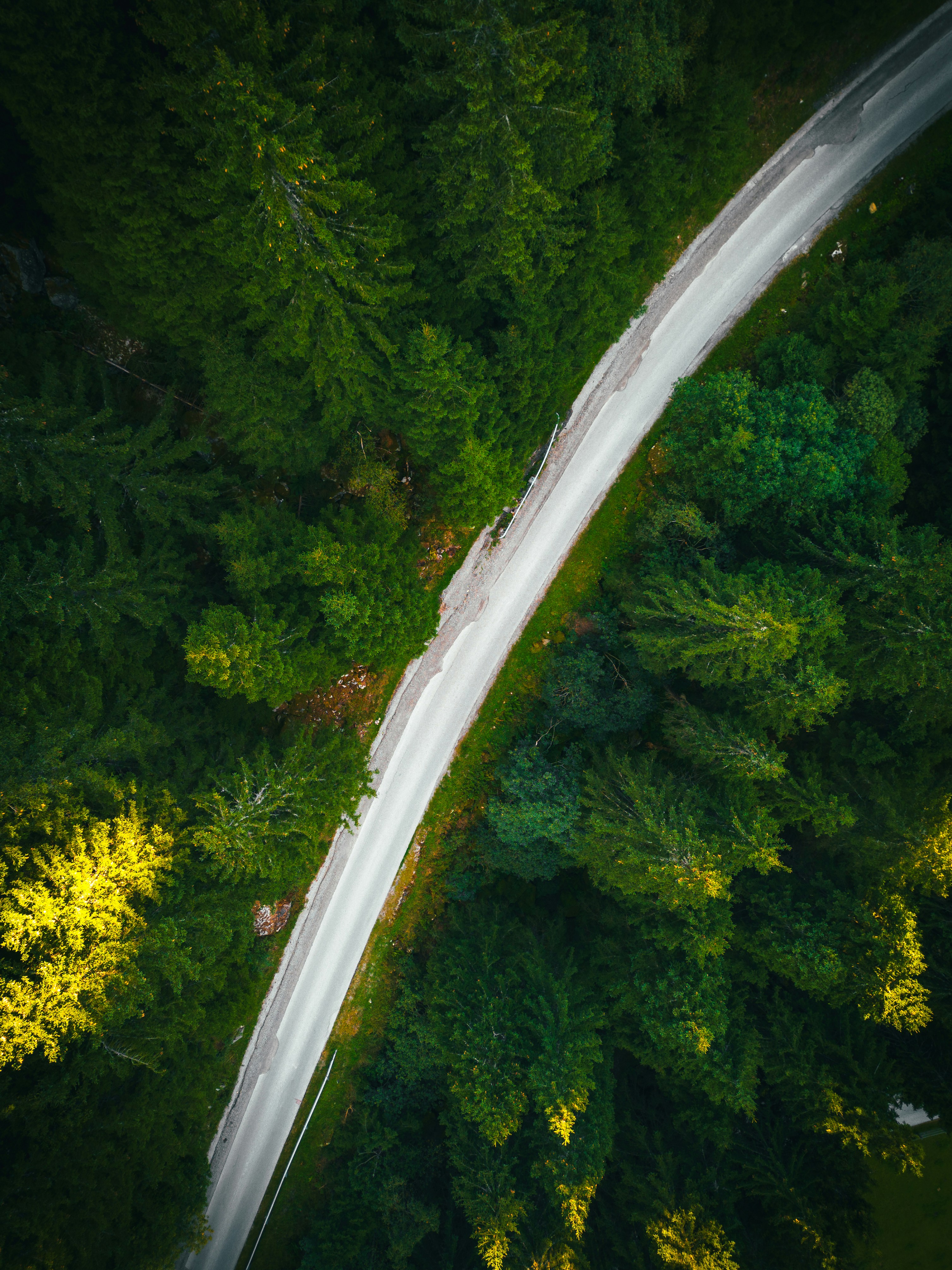 Photo by electerious