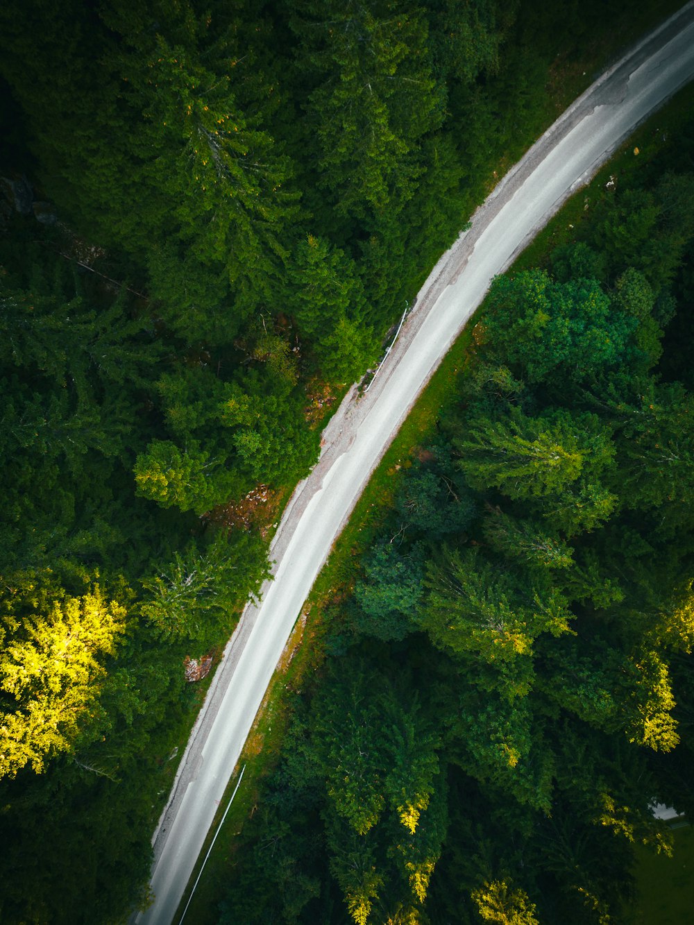 an aerial view of a road in the middle of a forest