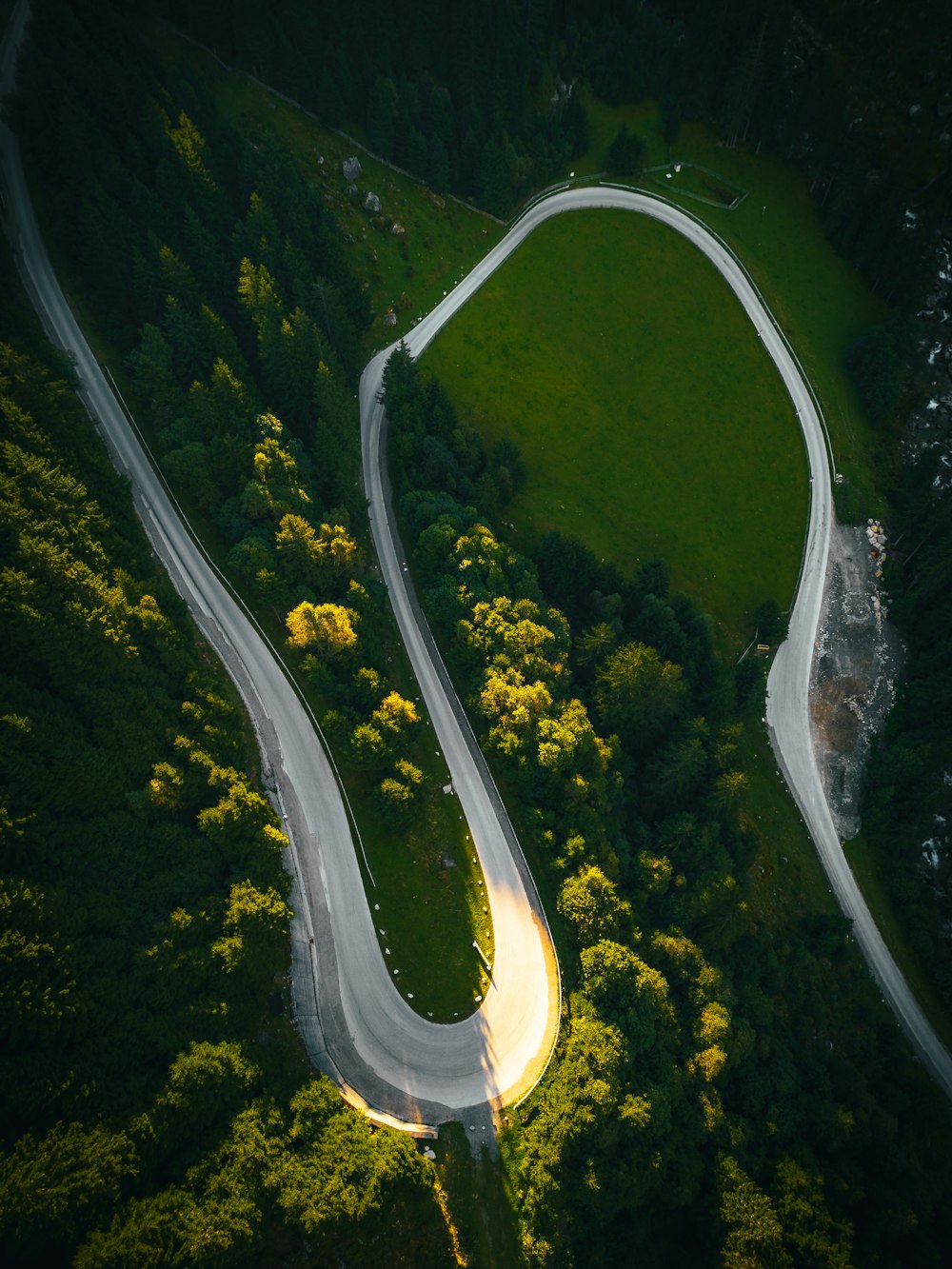 a winding road in the middle of a lush green forest