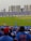 A packed cricket stadium with large crowds wearing blue jerseys, focused on a cricket match taking place on the field. High-rise buildings can be seen in the background, and banners are displayed around the stadium. Spectators are enthusiastic, capturing moments with their phones.