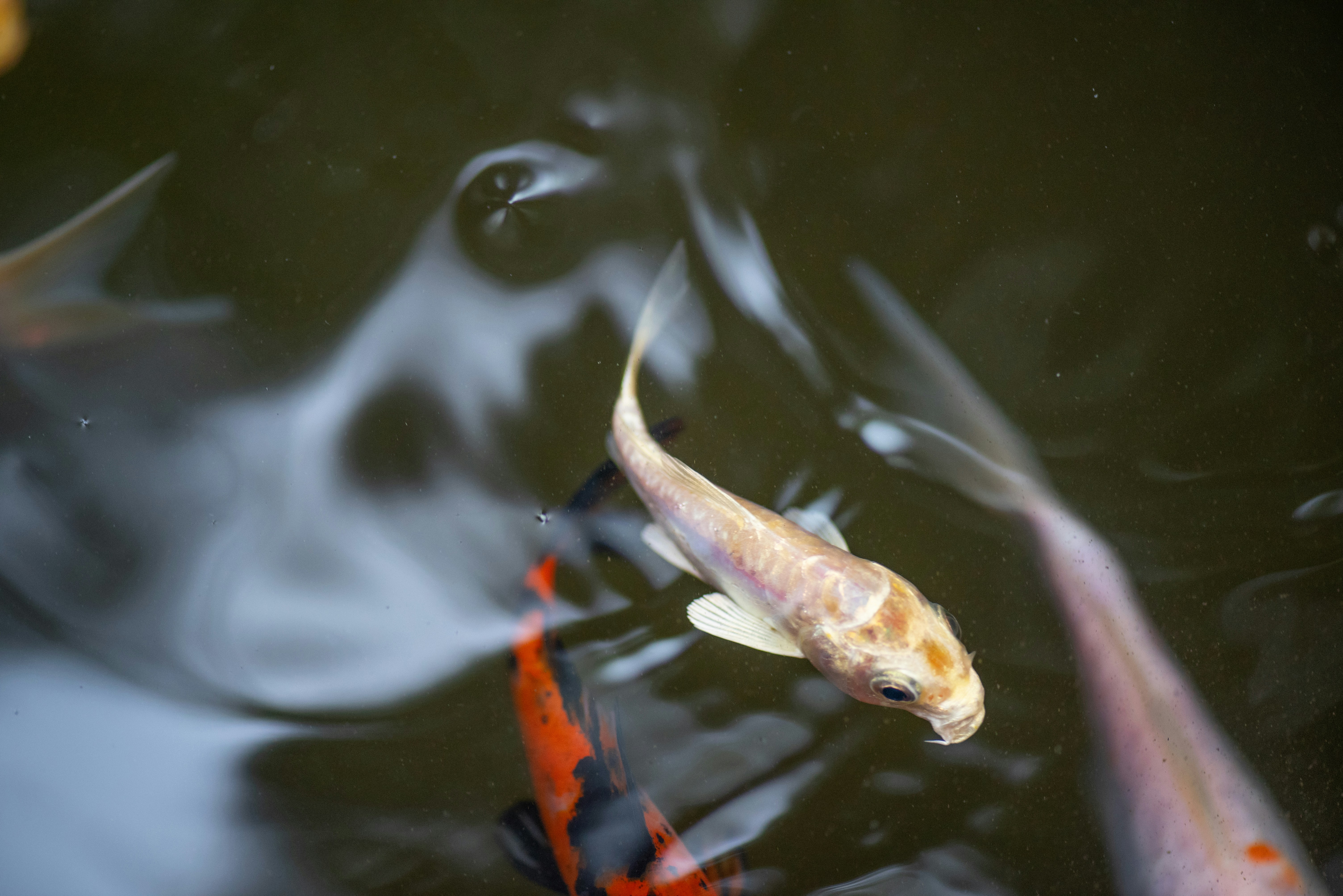 Photo by unsplash1404