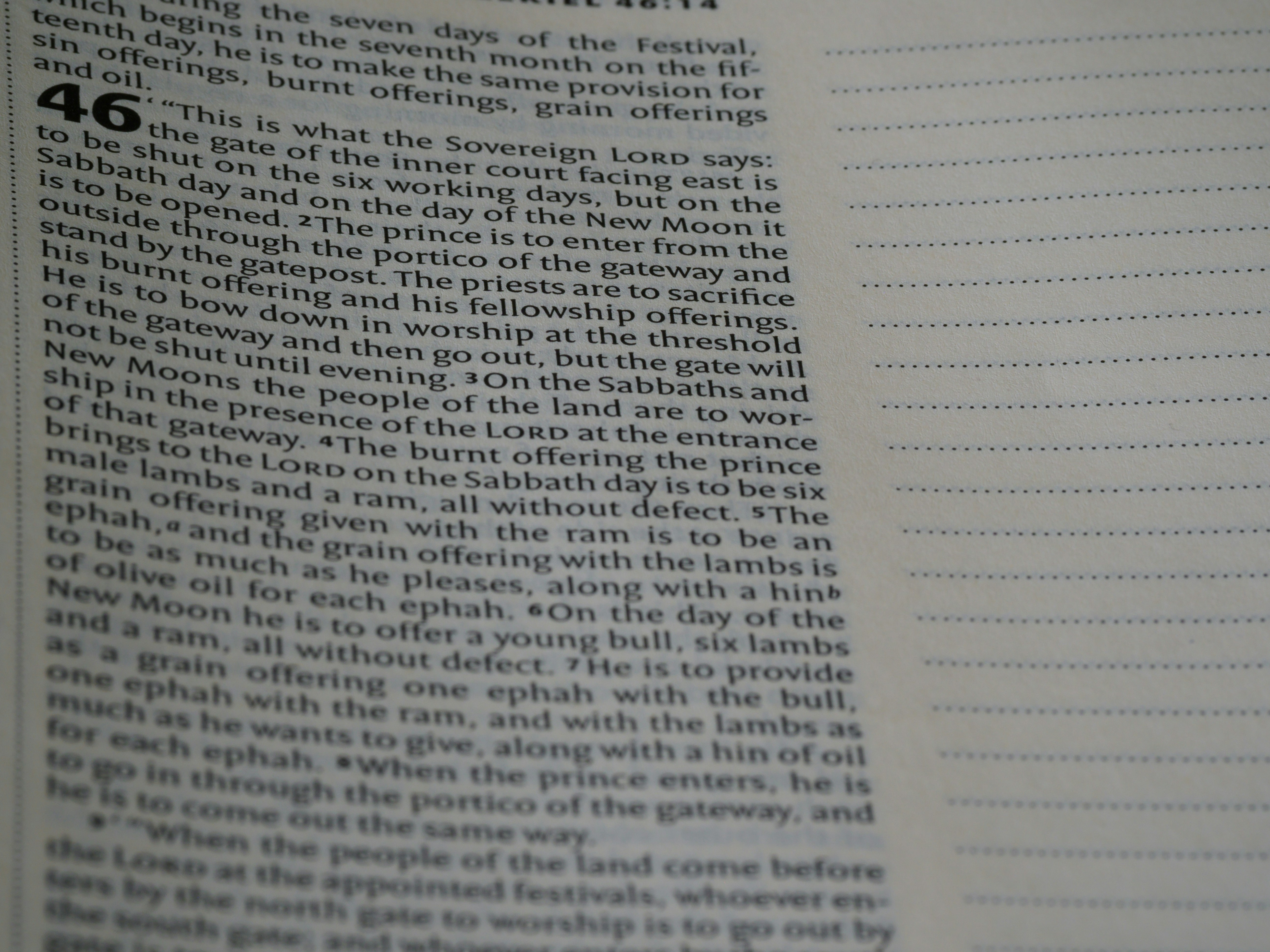 Photo by brett_jordan