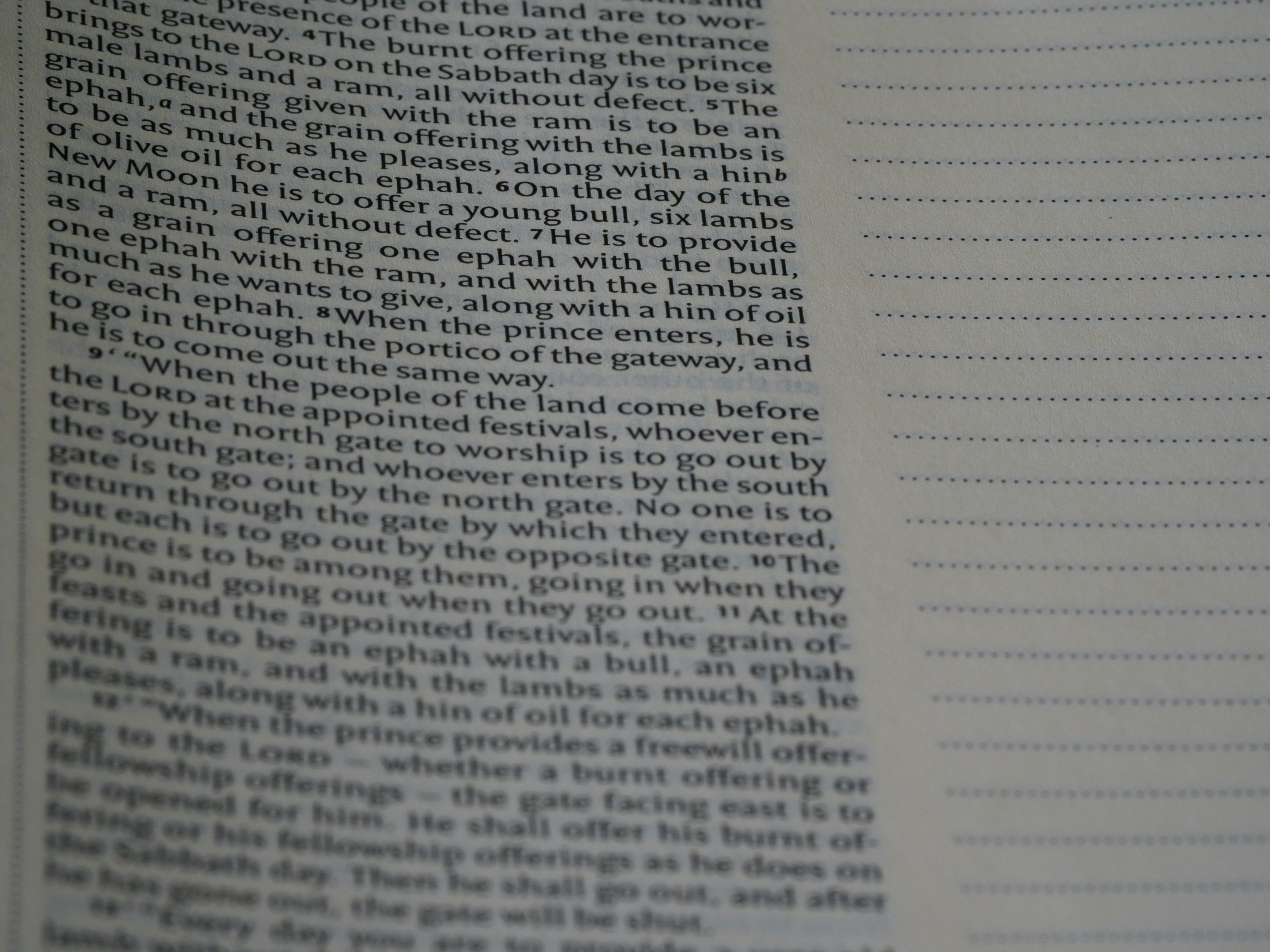 Photo by brett_jordan