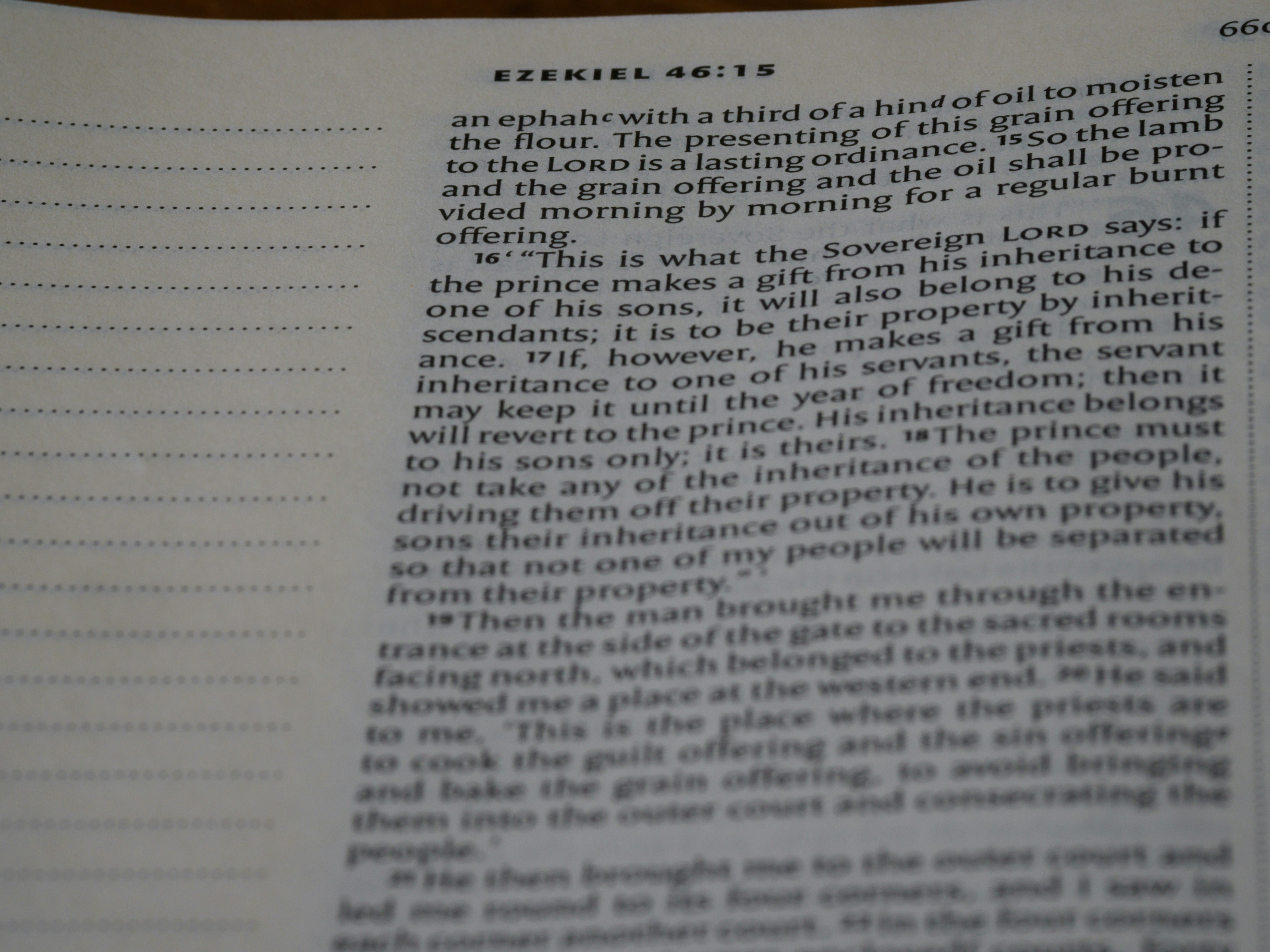 Photo by brett_jordan