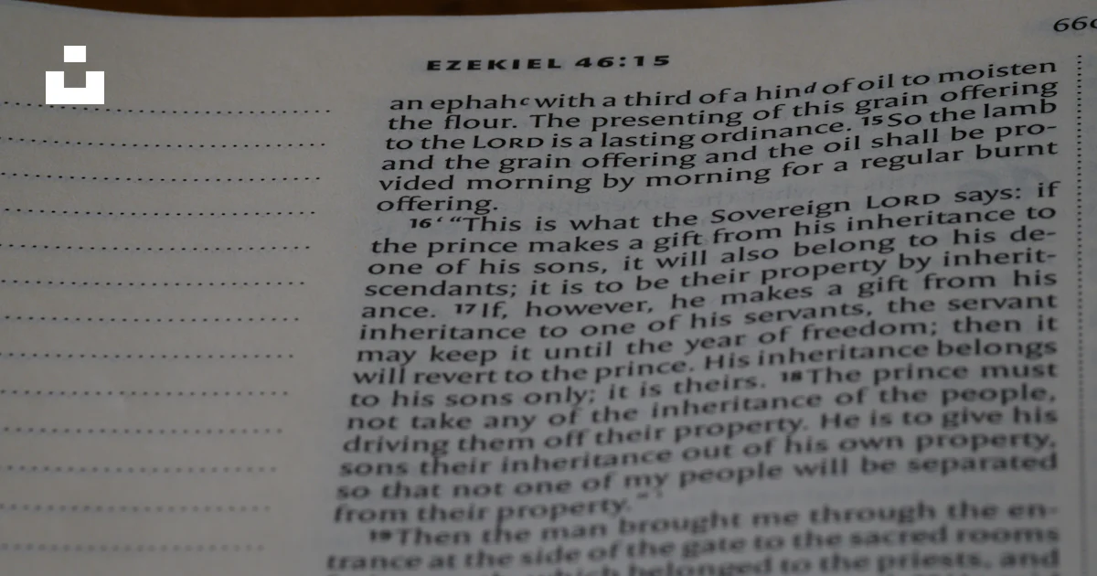 Script Image Open Book A close up of an open book with text photo – Free Text Image on Unsplash