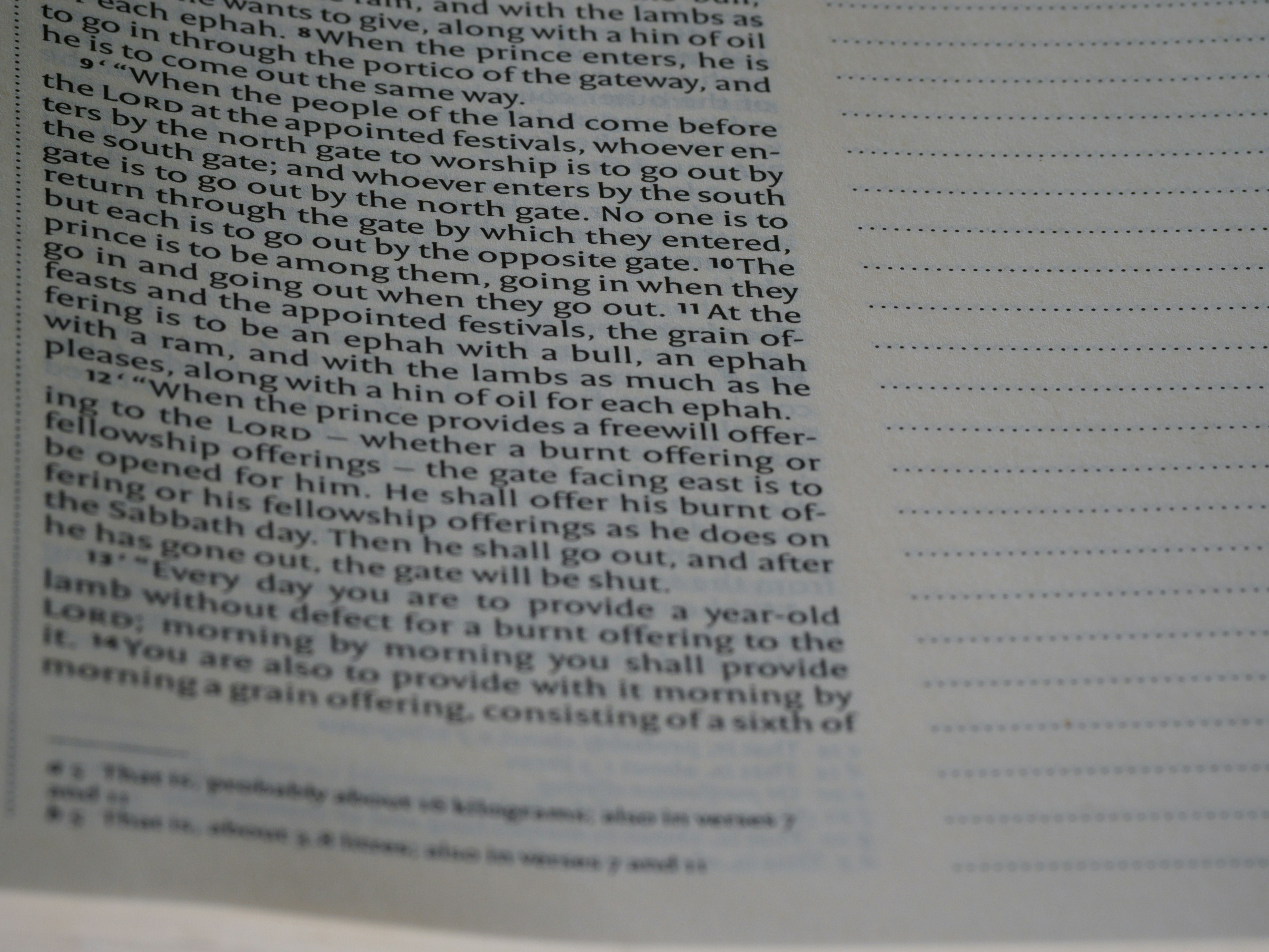 Photo by brett_jordan