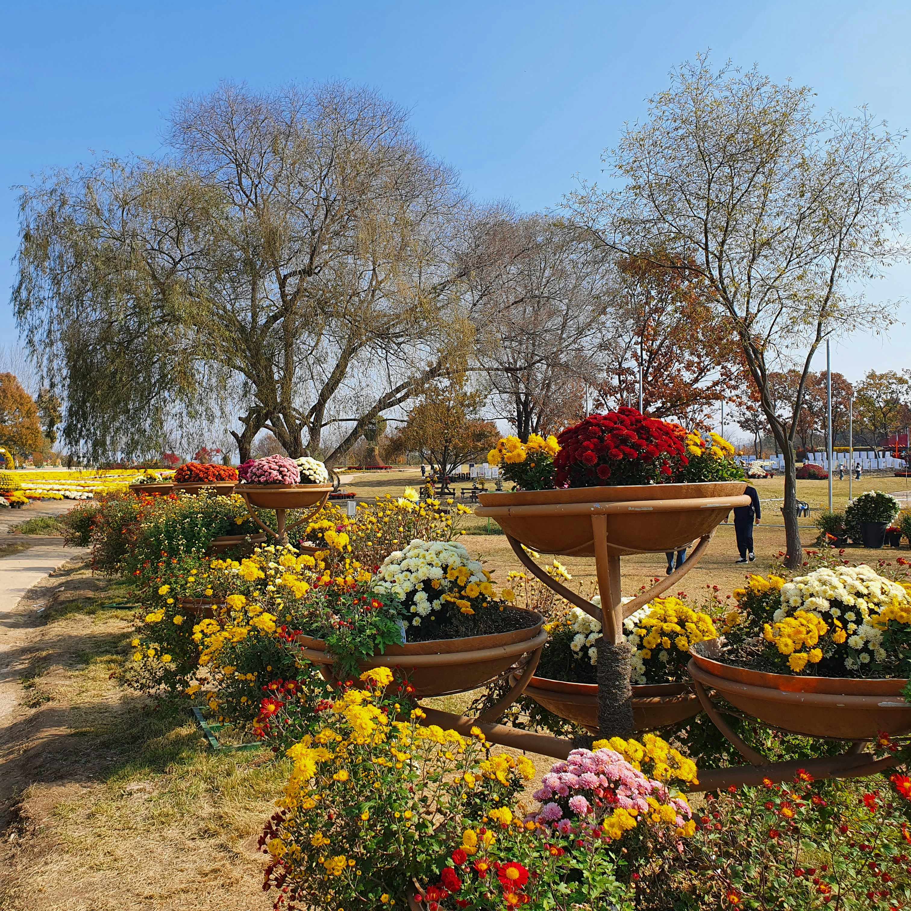 Perennials for Indianapolis: Low-Maintenance Plants That Thrive